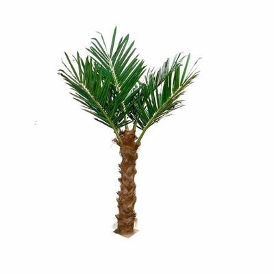 Date Palm Tree-250×300×300CM-Green - Image 4