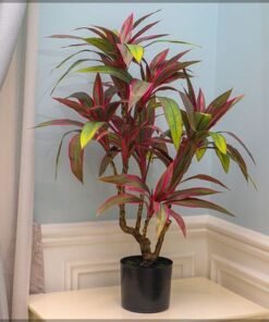 Alternative view of Artificial Cordyline Fruticosa Plant 90 Cm