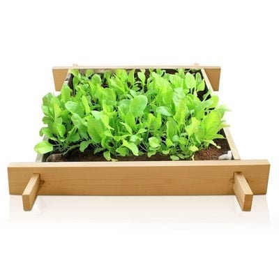 Enthusiast 1.6 x 1.6 foot gardenbed - Image 2