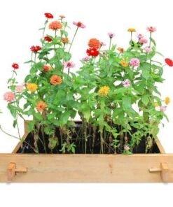 Explorer Greencorner Gardenbed - 3 feet x 2 feet x 23 cm, Wooden planter bed for home gardening, starter kit to grow flowers, herbs, vegetables, root veggies.