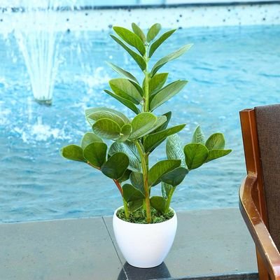 Artificial Zamioculcas Plant 60CM - Image 2