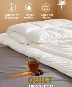 Arabest Duvet,Single Size Quilt Down Comforter Insert Microfiber White 160X210centimeter