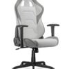 Cougar Armor Elite Gaming Chair, Premium PVC Leather, Full Steel Frame, 160° Reclining Backrest, 2D Adjustable Armrests, Head & Lumbar Pillows, Class 4 Gas Lift, Ergonomic Office & Gaming Chair, White | 3MELIWHB.0001