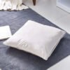 Dove Filled Cushion - 65x65 cm