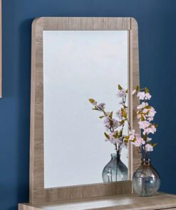 Curvy Mirror without Dresser