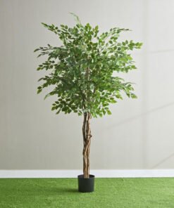 Teodora Ficus Artificial Tree - 210 cm