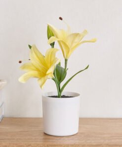 Ceilo Lily Flower Potted Plant with Pot - 10x10x25...