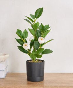 Ceilo Camellia Leaf Potted Plant with Flowers - 10...