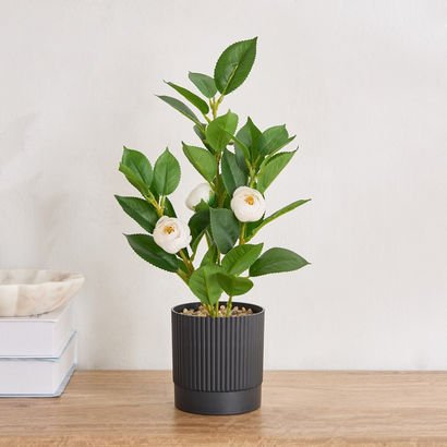 Ceilo Camellia Leaf Potted Plant with Flowers - 10...