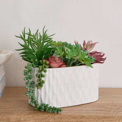 Ceilo Succulents Arrangement in Oval Ceramic Pot -...