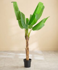 Teodora Sylvan Banana Tree with 10 Leaves - 110x11...