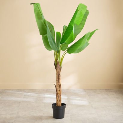 Teodora Sylvan Banana Tree with 10 Leaves - 110x11...