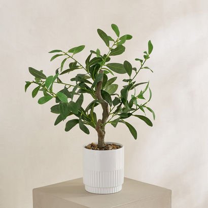 Evergreen Artificial Olive Tree Potted Plant in Ce...