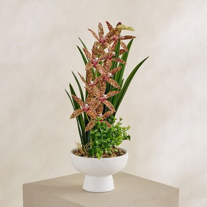 Evergreen Artificial Gongora Maculata Potted Plant...