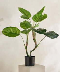 Evergreen Artificial Philodendron Erubescens Potte...