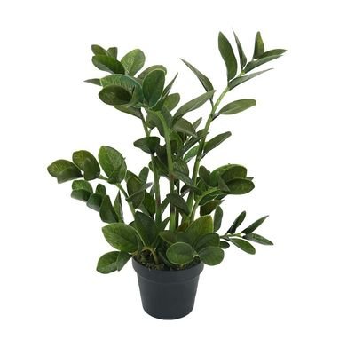 Artificial Zamioculcas Plant 75CM - Image 4
