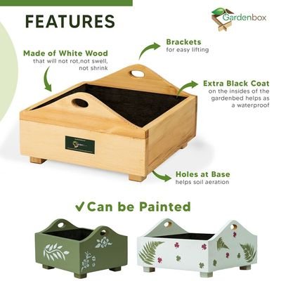 Sunshine wooden planterbox - 1 foot x 1 foot x 12 cm, grow herbs on kitchen platform, Decorative Planters for Home, Garden and Office - Image 4