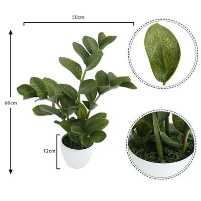 Artificial Zamioculcas Plant 60CM - Image 4