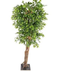 Alternative view of Artificial Ficus plant