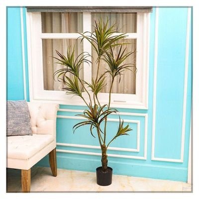 Artificial Yucca Plant About 1.9 Meters High - Image 2