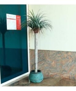 Artificial Yucca Plant Green 185x90x90cm