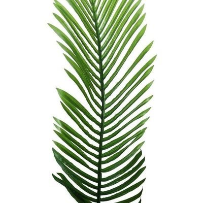 Artificial Areca Palm Tree 1.5 meter - Image 4