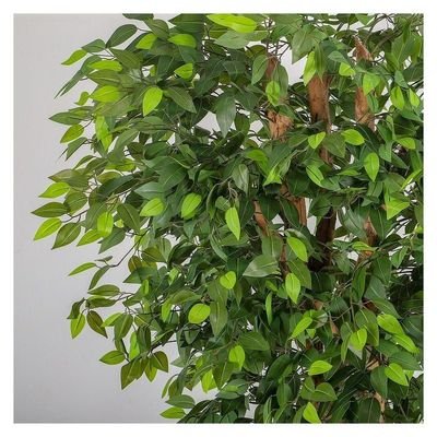 Artificial Ficus plant - Image 5
