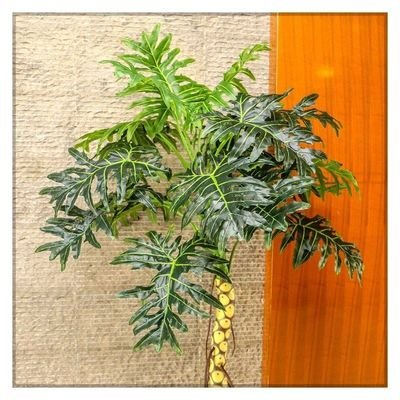 Artificial Plant 2 Meter High - Image 5