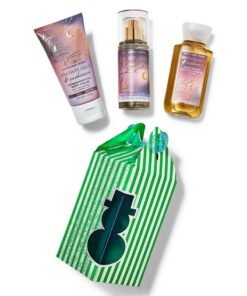 Bath & Body Works Snowflakes & Cashmere Mini Gift Set