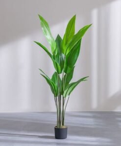 Alternative view of Paradise Bird Green Plant-145 cm