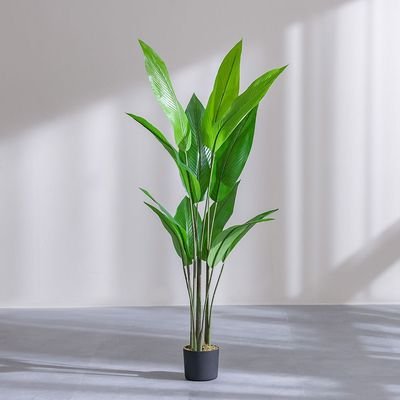 Paradise Bird Green Plant-145 cm - Image 2
