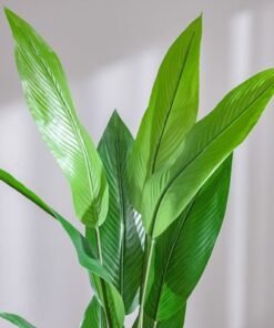 Paradise Bird Green Plant-145 cm - Image 3