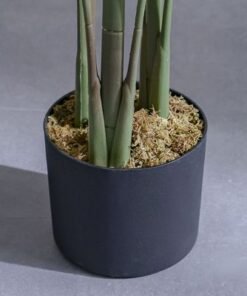 Paradise Bird Green Plant-145 cm - Image 4