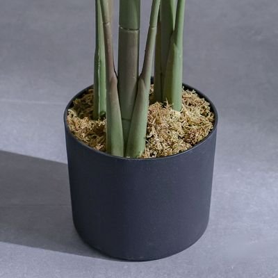 Paradise Bird Green Plant-145 cm - Image 4