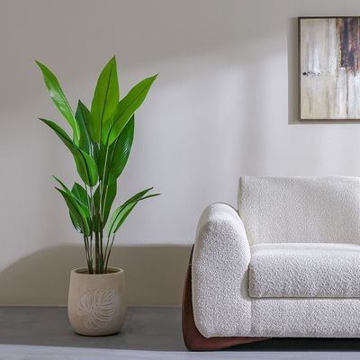Paradise Bird Green Plant-145 cm