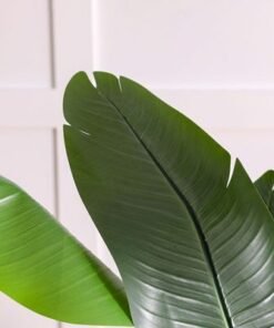 Banana Tree-180 CM - Image 3