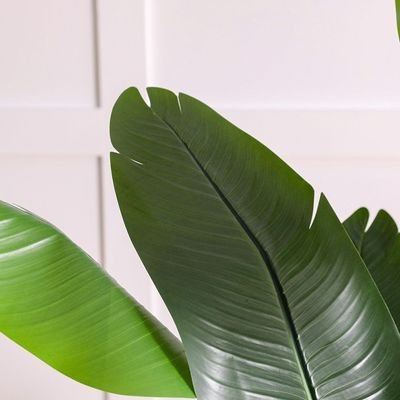 Banana Tree-180 CM - Image 3