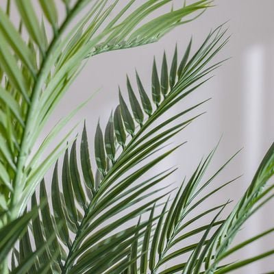 Artificial Palm Plant with Base - 150 cm - Image 3