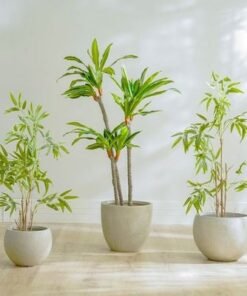 Nature Bamboo Plant - 90 CM