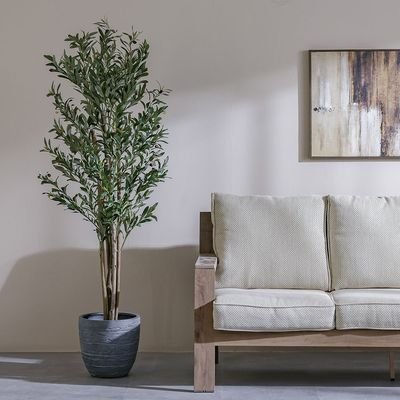 Artificial Olive Tree - Natural Wood Trunk - 180 cm
