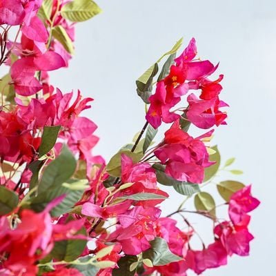 Artificial Bougainvillea Plant - 120 cm - Image 3