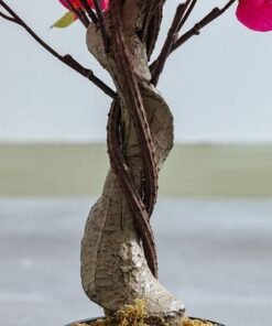 Artificial Bougainvillea Plant - 120 cm - Image 4