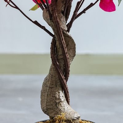 Artificial Bougainvillea Plant - 120 cm - Image 4