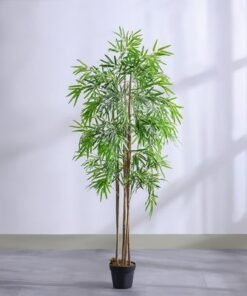 Alternative view of Bamboo 6 Rod150 Group Lvs Potted Plant 210Cm