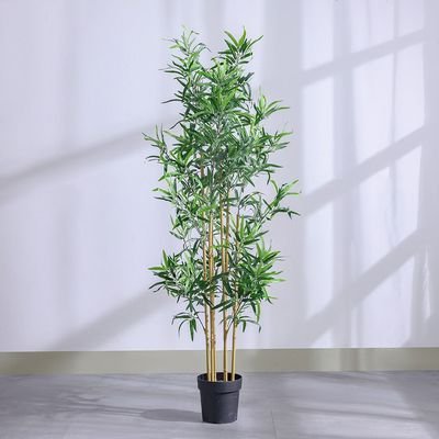 Bamboo 183 Lvs Potted Plant 145Cm - Image 2