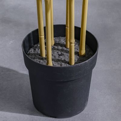 Bamboo 183 Lvs Potted Plant 145Cm - Image 4