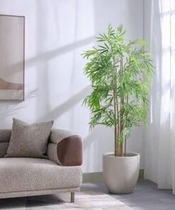 Bamboo 183 Lvs Potted Plant 145Cm - Image 5