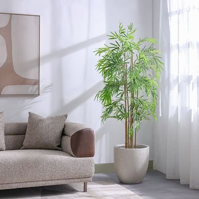 Bamboo 183 Lvs Potted Plant 145Cm - Image 5