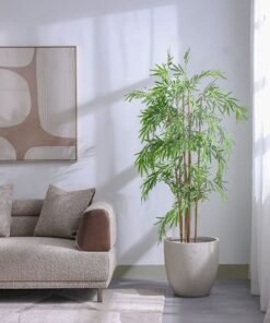Bamboo 183 Lvs Potted Plant 145Cm