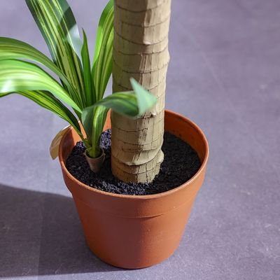 Brazilian Iron Potted Plant55Lvs 107Cm - Image 5